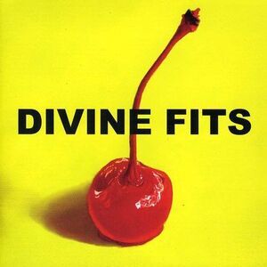 Divine Fits - A Thing Called Divine Fits   CD